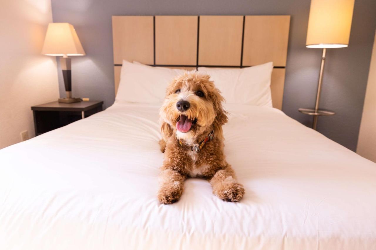 Sonesta Simply Suites Birmingham Hoover Exteriör bild